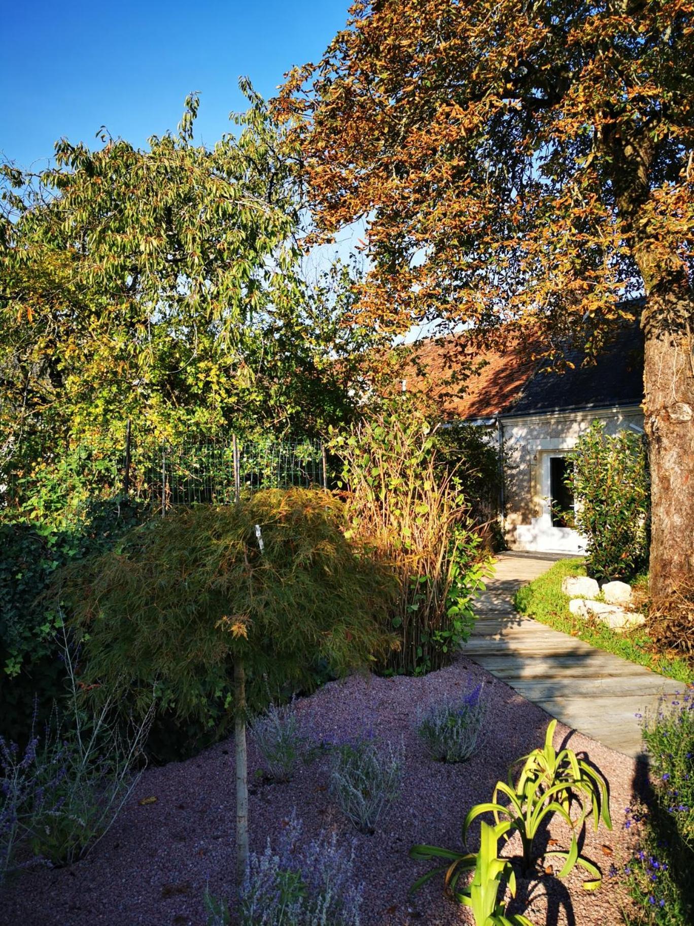 La Jacquiere Bed and Breakfast Chaumont-sur-Loire Exteriör bild